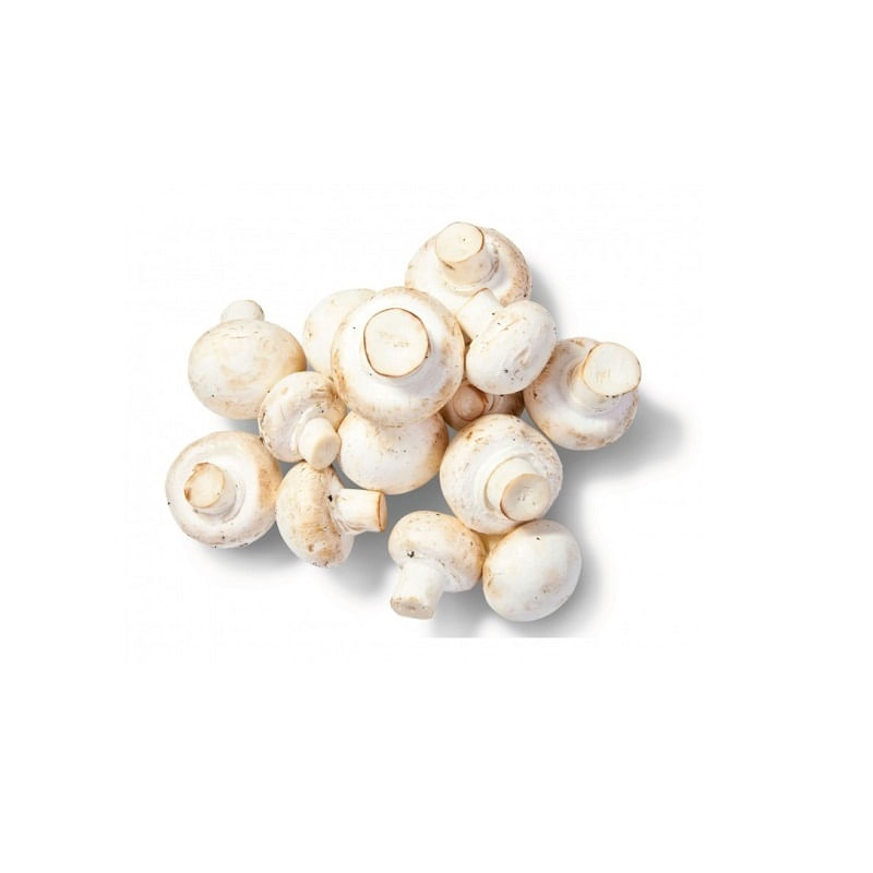 Cogumelo Champignon Paris - Granel (KG)