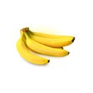 Banana da Terra (Pacova) Primeira