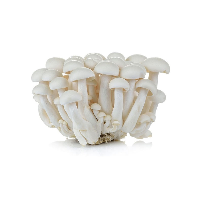 Cogumelo Shimeji Branco - Bandeja (200G)